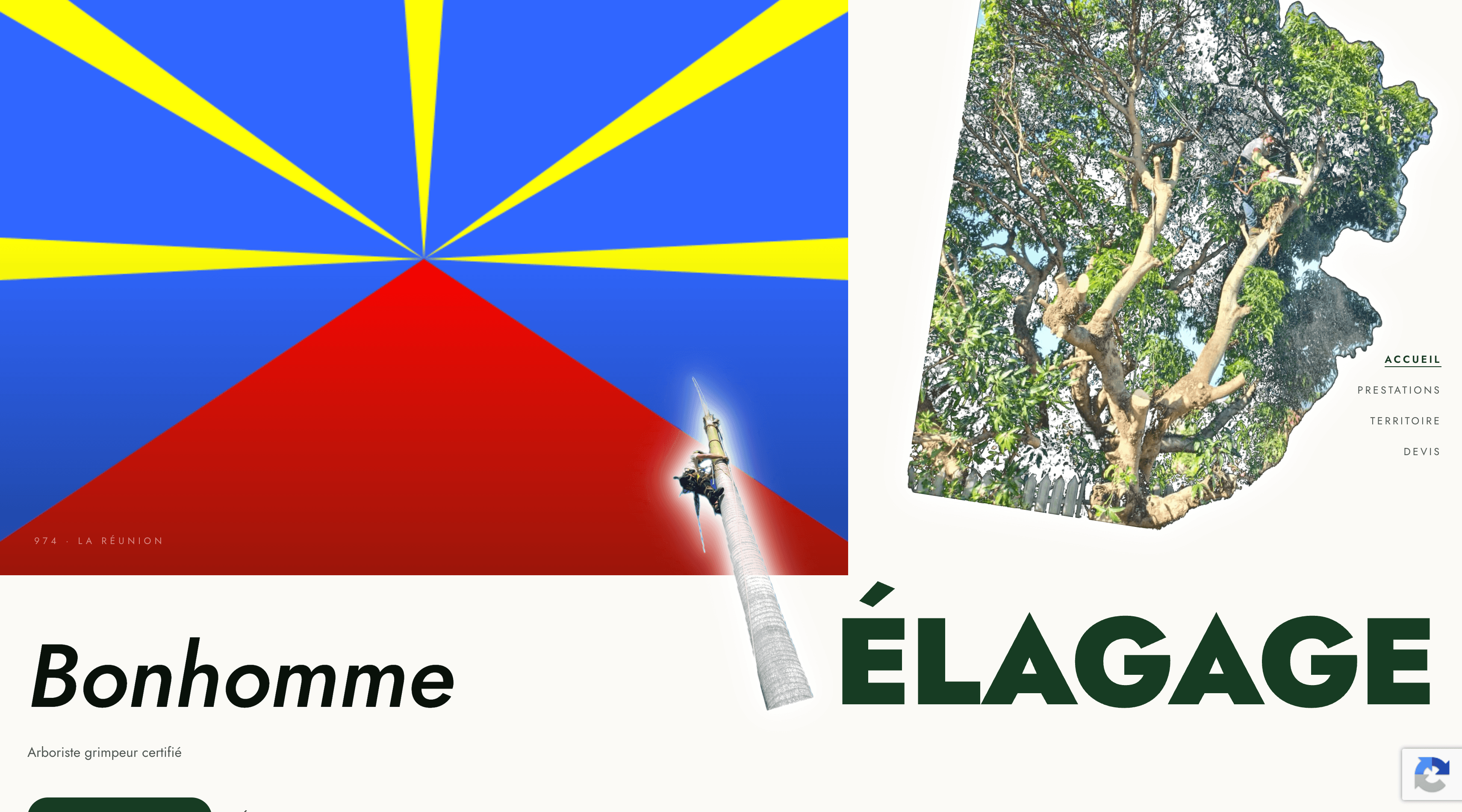 Bonhomme Élagage – Arboriculture professionnelle à La Réunion — screenshot 1