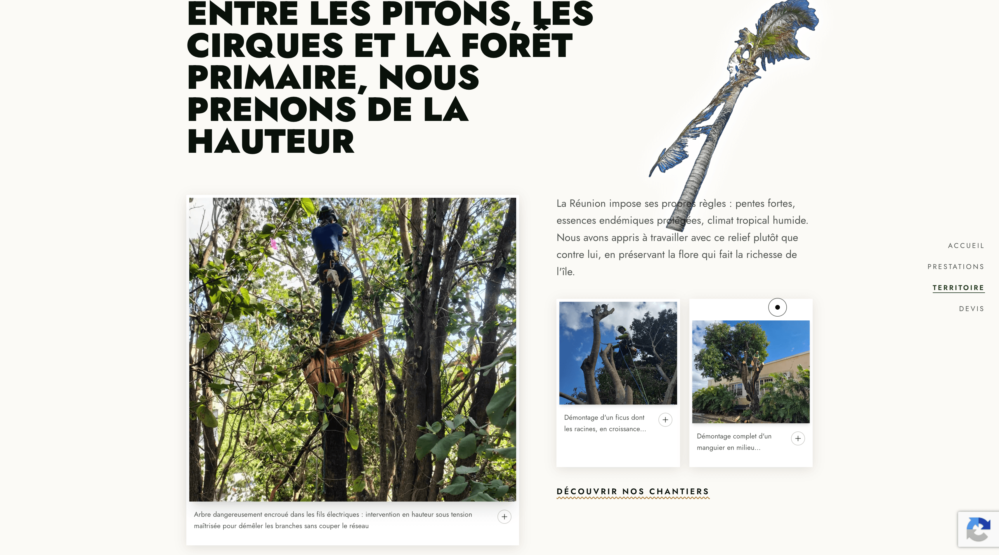 Bonhomme Élagage – Arboriculture professionnelle à La Réunion — screenshot 2